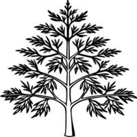 hemlock tree, illustration line art vector
