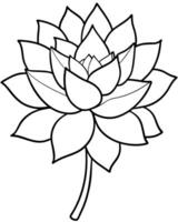 a coloring page of an sedum flower with no color just black lines, illustration line art vector