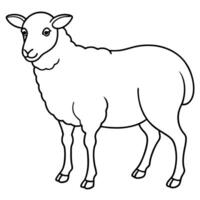 sheep line art, illustration line art vector