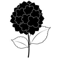 an image of hydrangea silhouette with a white background, illustration line art vector