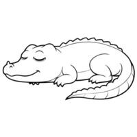 cute american alligator sleeping cartoon flat style drawing isolated on a white background, vector