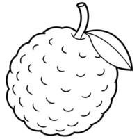 a coloring page of an food lychee with no color just black lines, illustration line art vector