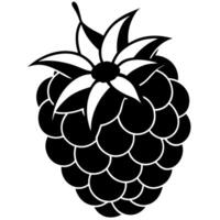 3d rendering of dynamic raspberry silhouette beautiful line art, illustration line art vector