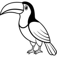 toucan, illustration line art vector