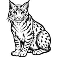 bobcat sit design, withe outline , black background, illustration line art vector