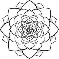 design a mesmerizing rose mandala with a central rose surrounded by concentric layers of petals and vector