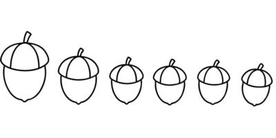 a row of acorns all sizes, illustration line art vector