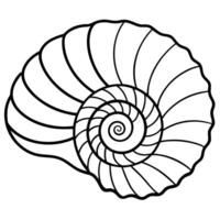 natural spiral shell fossil, illustration line art vector