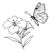 a butterfly is extracting nectar from a oleander flower, illustration line art vector