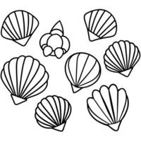 simple sea shells not overlapping and each one is a different type, illustration line art vector