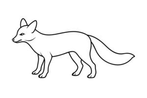 san joaquin kit fox clean and smooth path , in a white background, illustration line vector