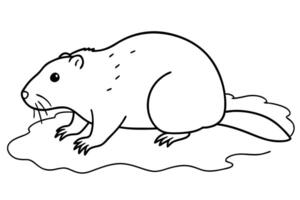 beaver burrowing the beaver digs into the ground or mud, usually in a crouched position, vector