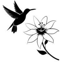 the bird is flying on this passiflora passion flower flower, illustration line art vector