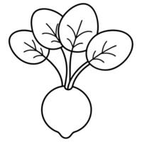 a coloring page of an food watercress with no color just black lines, illustration line art vector