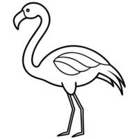 flamingo , illustration line art vector