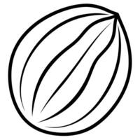 3d rendering of dynamic walnut seeds silhouette beautiful line art, illustration line art vector