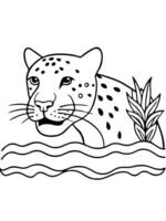 the largest cat in the americas, jaguars have powerful jaws and a golden coat with black rosettes vector