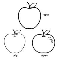 illustrate different types of apples, showcasing the variety of shapes and sizes eg, granny smith, vector