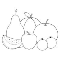 fruits, illustration line art vector