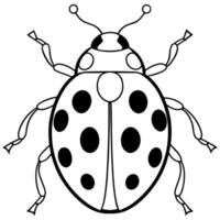 realistic ladybug from top, illustration line art vector