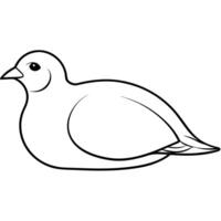 a chukar bird is lying down, illustration line art vector