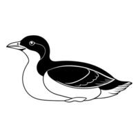 a murrelet bird is lying down, illustration line art vector