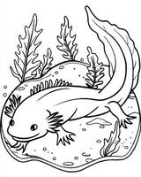 axolotl on sandy seafloor with ocean elements, illustration line art vector