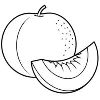 cantaloupe honey melon sliced, half and total, illustration line art vector