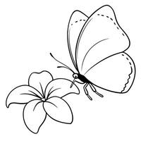 a butterfly is extracting nectar from a plumeria flower, illustration line art vector