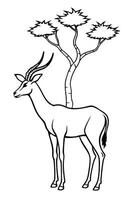 a gerenuk standing on its hind legs, reaching up to nibble on leaves from tall branches, with vector