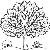 a coloring page of autumn trees, illustration line art vector