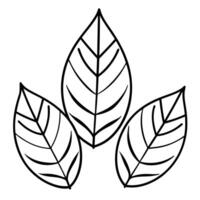 hand drawn eco set of black line leaf icons on white background, illustration line art vector