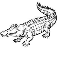 a crocodile , full view, illustration line art vector