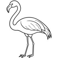 flamingo line art , white background, illustration line art vector