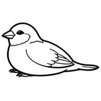 a sparrow bird is lying down, illustration line art vector
