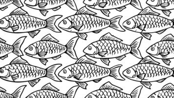 black and white pattern outline hand-drawing of group fresh fish, illustration line art vector