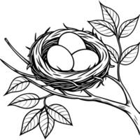 a birds nest on a tree branch houses three eggs, illustration line art vector