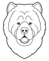 chow chow entire head front view, illustration line art vector