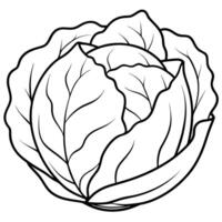 3d rendering of dynamic cabbage with white background, illustration line art vector
