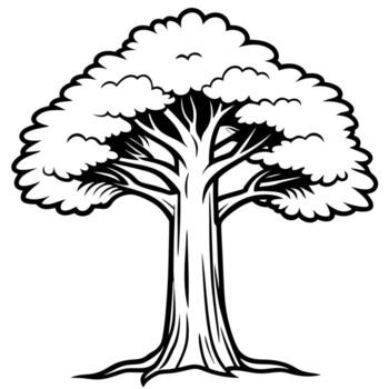 an impressive sequoia tree with its massive trunk, overgrown with the flowing, graceful branches of vector