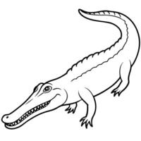 a gharial with its long, narrow snout and sharp teeth, illustration line art vector