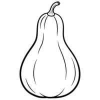 a realistic illustration of a pear-shaped butternut squash with a light tan color, subtle vector