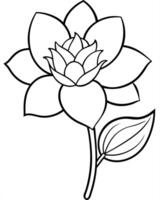 a coloring page of an stock flower with no color just black lines, illustration line art vector