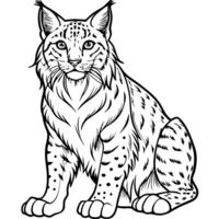 bobcat sit design, withe outline , black background, illustration line art vector