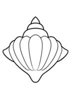 a coloring page of an shell with no color just black lines, illustration line art vector