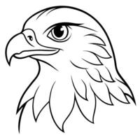 a red-tailed hawk head with white background, illustration line art vector