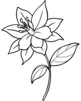 a coloring page of an columbine with no color just black lines, illustration line art vector