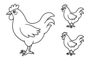 a chicken 4 different lainar white background, illustration line art vector
