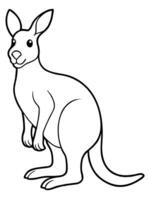 coloring book page, kangaroo, black and white, clear dark lines drawing as simple as vector