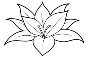 abstract beautiful flower of lily illustration on white background for design, illustration vector